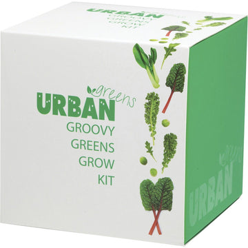 Urban Greens Grow Kit Groovy Greens 10x10cm 1