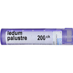 Boiron, Single Remedies, Ledum Palustre, 200CK, Approx 80 Pellets - The Supplement Shop