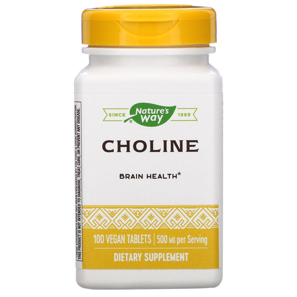 Nature's Way, Choline, 500 mg, 100 Vegan Tablets - The Supplement Shop