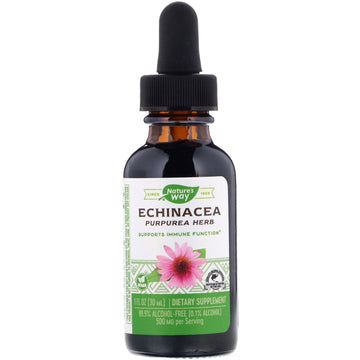 Nature's Way, Echinacea, 99.9% Alcohol Free, 1 fl oz (30 ml)
