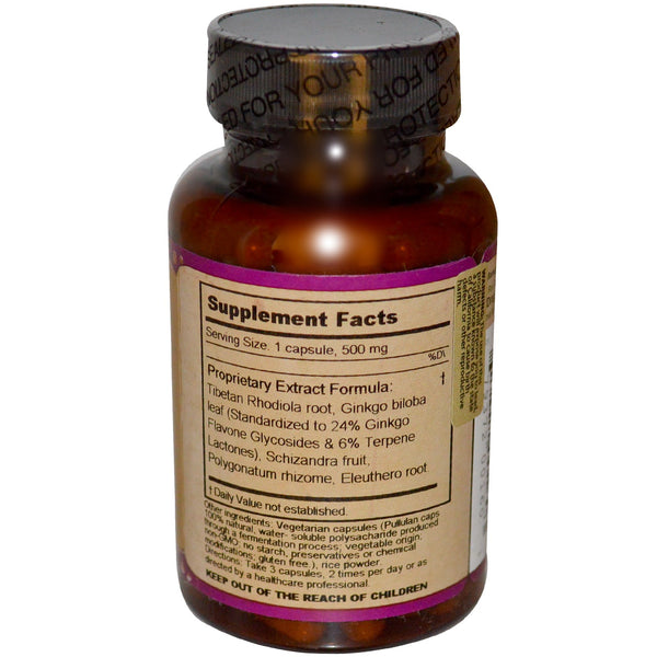 Dragon Herbs, Diamond Mind, 500 mg, 100 Vegetarian Capsules - The Supplement Shop