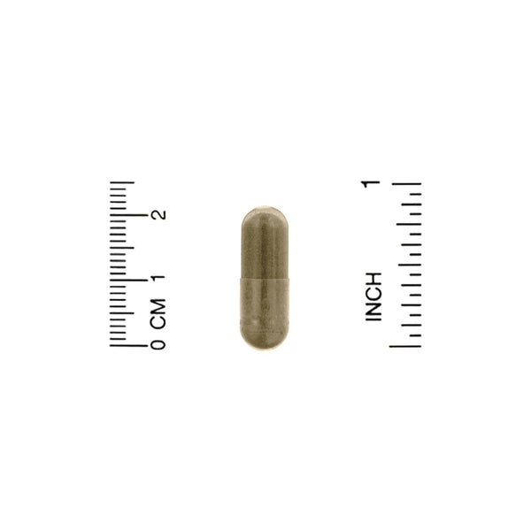 Nature's Way, Ashwagandha, 500 mg, 60 Vegan Capsules - The Supplement Shop