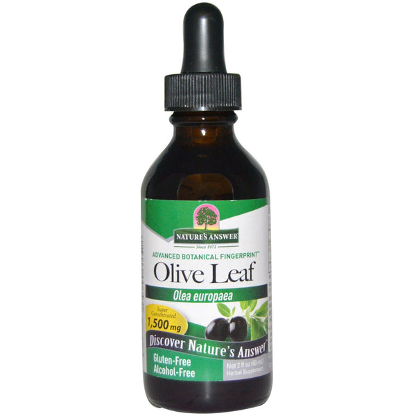 Nature's Answer, Olive Leaf, Alcohol-Free, 1,500 mg, 2 fl oz (60 ml) - The Supplement Shop