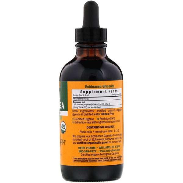 Herb Pharm, Echinacea, Alcohol-Free, 4 fl oz (120 ml) - The Supplement Shop