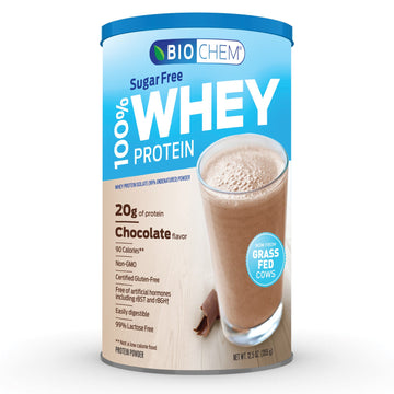 Biochem, 100% Whey Protein, Sugar Free, Chocolate, 12.5 oz (355 g)