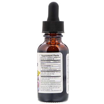 NaturesPlus, Herbal Actives, Grape Seed, Alcohol Free, 25 mg, 1 fl oz (30 ml)