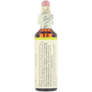 Bach, Original Flower Remedies, White Chestnut, 0.7 fl oz (20 ml)