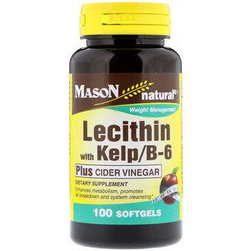 Mason Natural, Lecithin with Kelp/B6 Plus Cider Vinegar, 100 Softgels