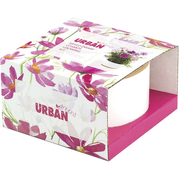 Urban Greens Grow Kit Dwarf Cosmos 14x14x8.5cm 1